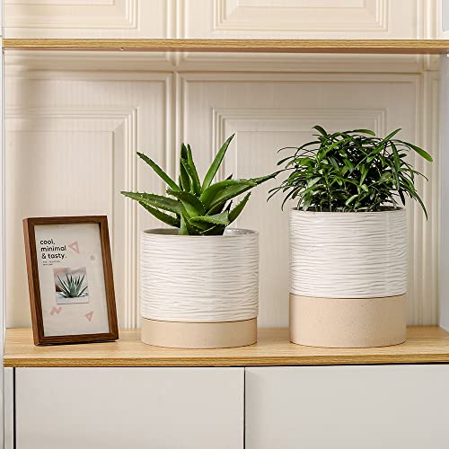 Ceramic Self Watering Plant Pot for Indoor Plants