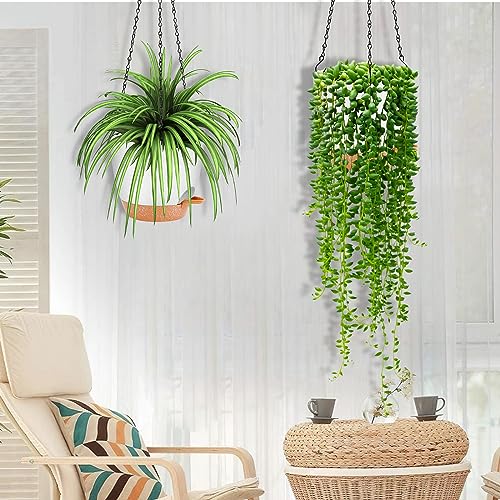 hanging planter (2 Count)