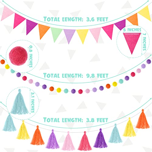 9.8FT Rainbow Pom Pom Tassel Garland for Classroom Felt Candy Color (43 Count)