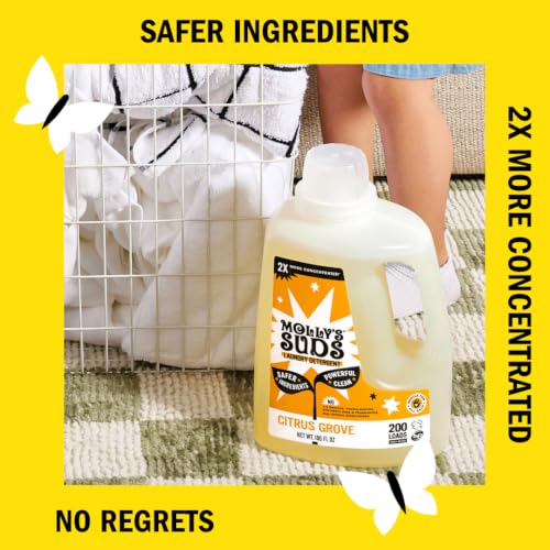 Liquid Laundry Detergent (52 Fl Oz)