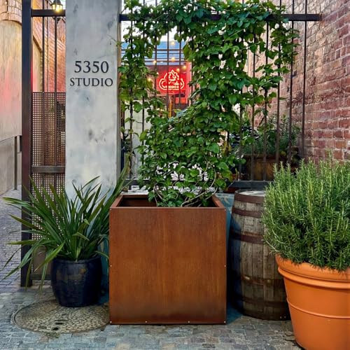 Corten Steel Cube Outdoor Planter Box