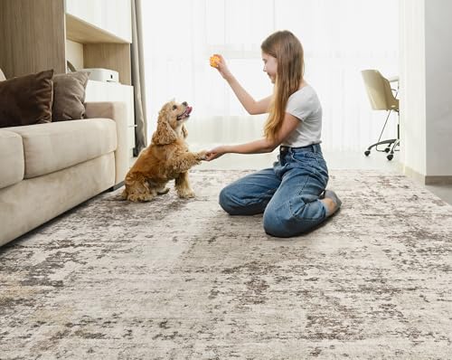 6x9 Area Rug Living Room Rugs