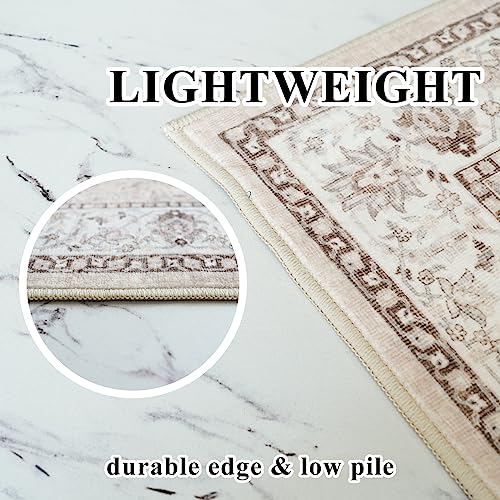 Living Room 4x6 Area Rugs (24.25 Sq Ft)