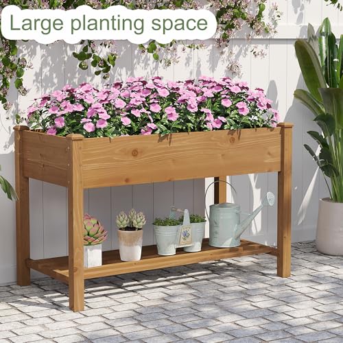 Raised Garden Bed with Shelf