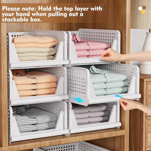8 Pack Closet Organizers and Storage (8 Count)