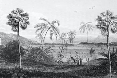 Vintage Black and White Forest Wallpaper Hand Painted Palm Tree Lake Mountain Wall Mural for Bedroom Living Room