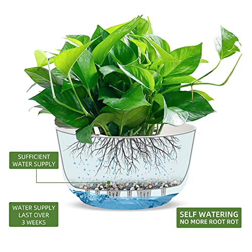 9.8 Inch Self Watering Hanging Planter (2 Count)