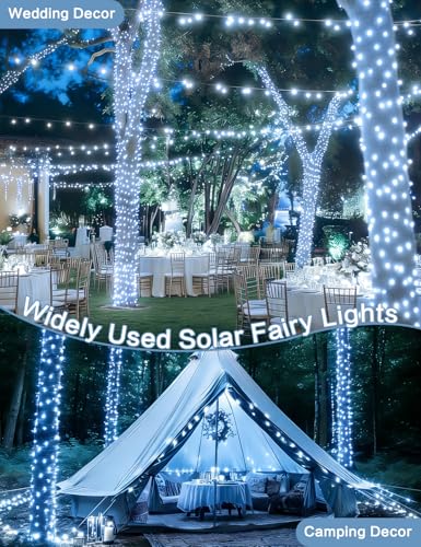 Solar String Lights Outdoor (6 Count)