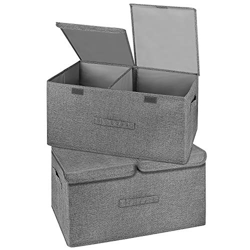 2 Pack Large Storage Boxes with Lids and Handles (2 Count)