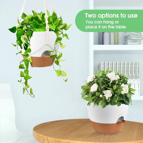 Hanging Planters for Indoor Outdoor Plants (2 Count)