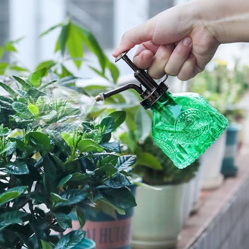 Glass Plant Mister Spray Bottle