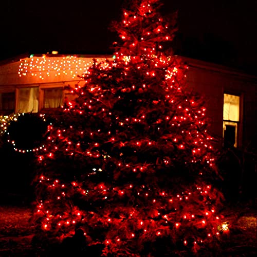 Valentine's Day Red Lights (20 Foot)