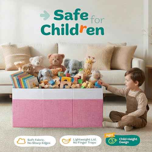 Extra Large Toy Storage Organizer with Lid