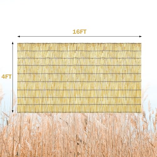 Bamboo Reed Fencing (16 Foot)