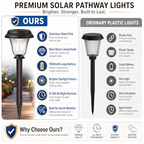 Solar Lights Outdoor (6 Count)