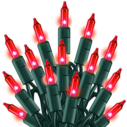 Valentine's Day Red Lights (20 Foot)