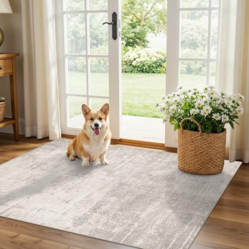 Washable 3x4 Kitchen Area Rugs (12 Sq Ft)