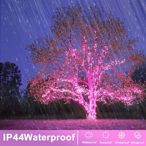 262FT 800 LED String Lights Indoor