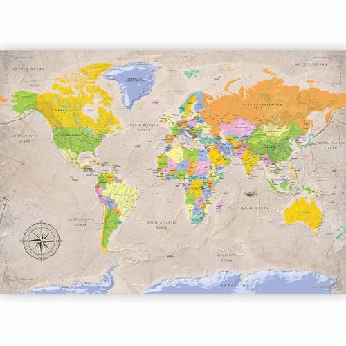 Premium Wall Mural World Map 98x69 in (5 Count)