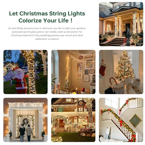 100 Christmas Lights (100 Count)