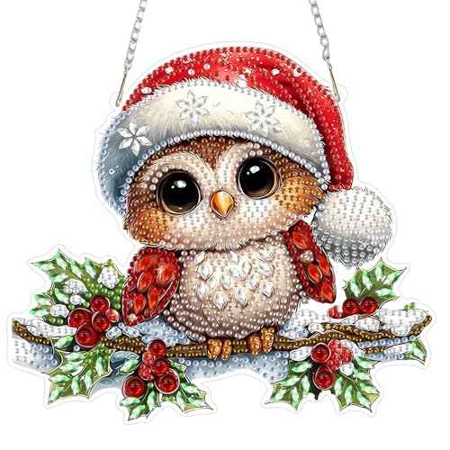 Christmas Owl Diamond Art Hanging Kits for Adult