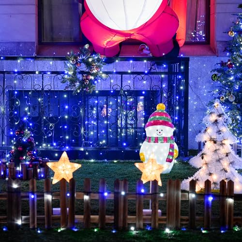 66ft 200 LED Blue and White Christmas Lights