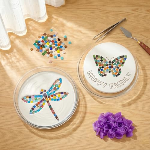 5PCS Stepping Stone Kit Includes 12in Round Cement Molds