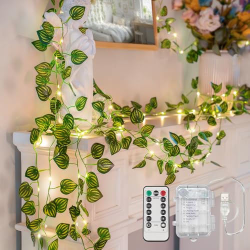 33FT Watermelon Vines with Lights Battery&USB Powered Copper Wire