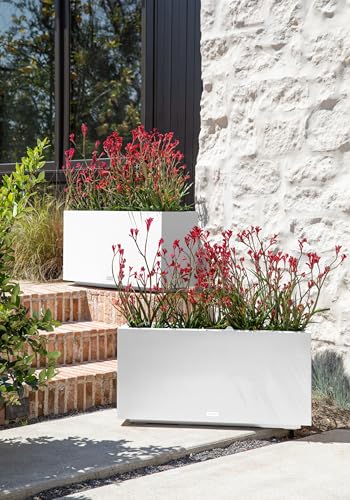 Block Series Long Box Planter (2 Count)