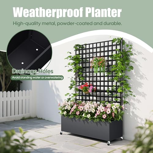 Metal Planter Box with Trellis Privacy Screen