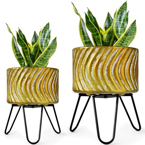 Plant Pots with Stand (2 Count)