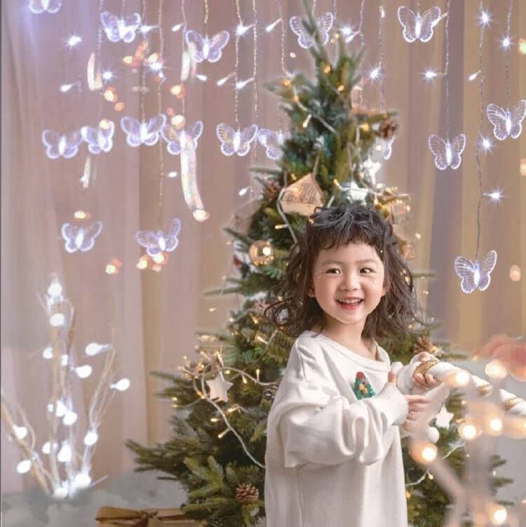 Butterfly Curtain Fairy Lights USB Plug in
