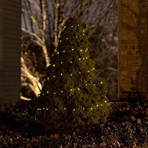 Fairy Lights Battery Operated (20 Foot)