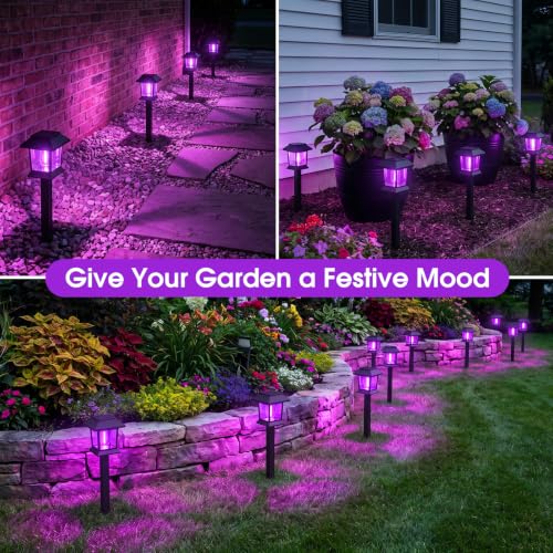 Solar Lights Outdoor