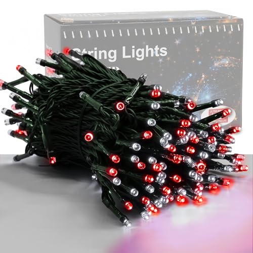66ft Valentines Decorative Mini Lights