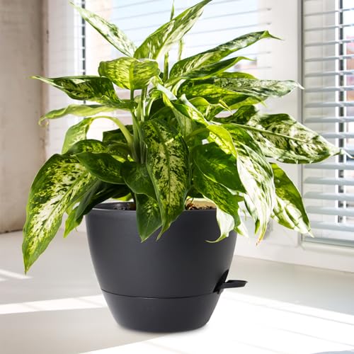 10/9/8 inch Self Watering Pots for Indoor Outdoor Plants, Set of 3 (3 Count)