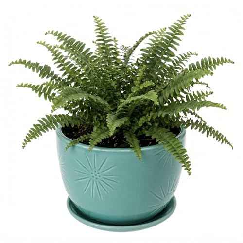 7 Inch Turquoise Ceramic Planter Pot with Drainage Hole & Saucer