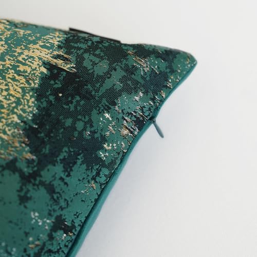 Modern Spring Throw Pillow Covers 20x20