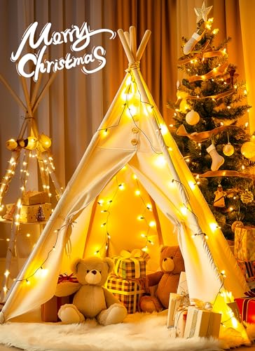 Clear Christmas String Lights 50 Count 10 Feet Incandescent Bulb