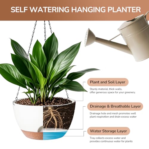 Hanging Planter
