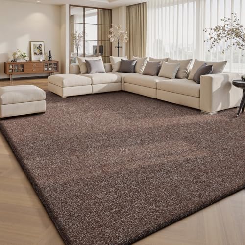 Area Rugs 9x12 for Living Room Bedroom (108 Sq Ft)