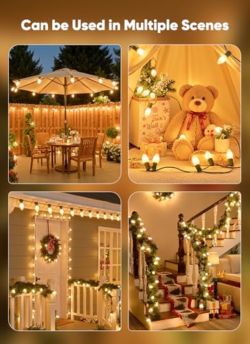 25Ft Christmas Lights Outdoor (25 Count)