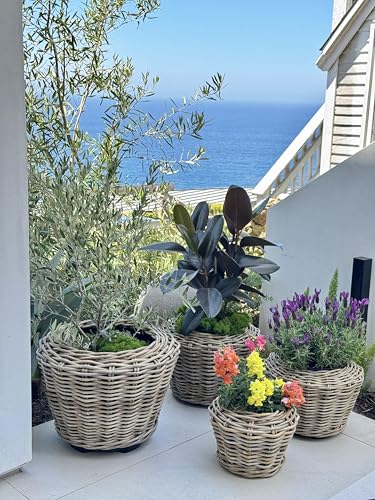 Rattan Planter Basket Plant Pot Holder 3.5