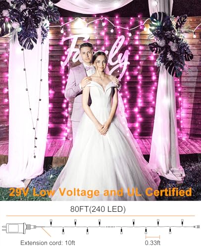 80FT 240 LED Christmas Lights Outdoor