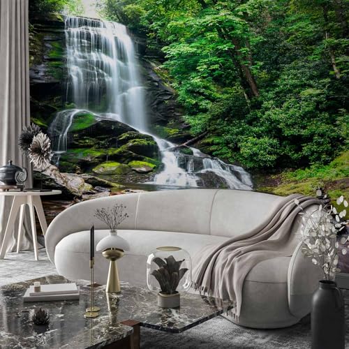 Wall Mural Wallpaper (147 Sq Ft)