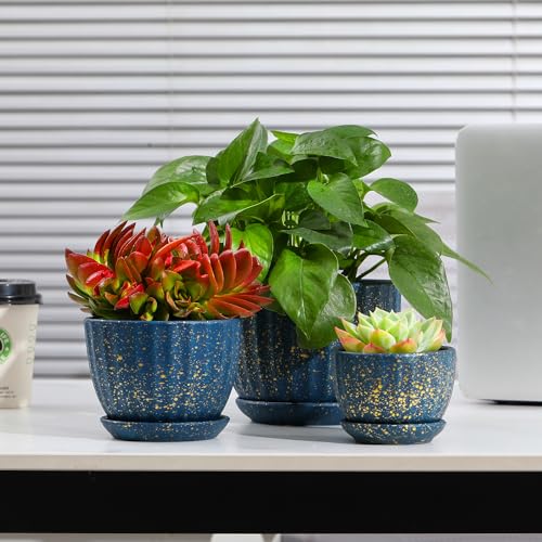 Ceramic Plant Pots with Saucers (3 Count)