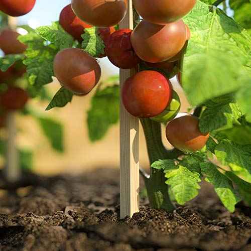 4 Ft. Garden and Sign Post Stakes (25 Count)