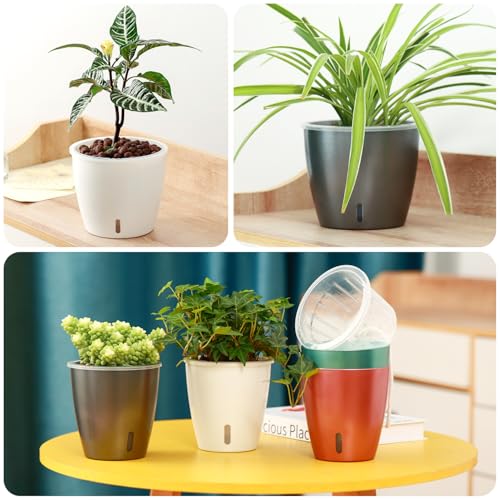 Self Watering Pots for Indoor Plants