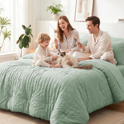 Queen Comforter Set