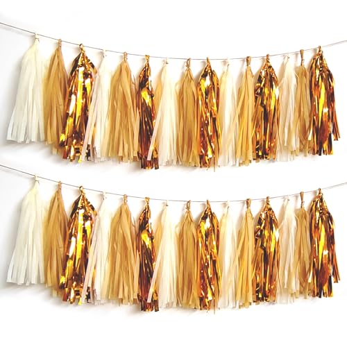 Shiny Tassel Garland Tissue Paper Tassel Banner (15 Count)